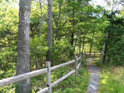 Trails hike hiking