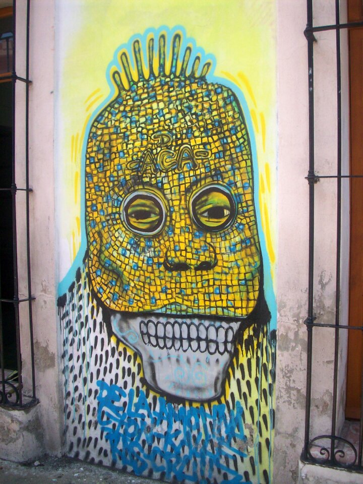 Street oaxaca mexico