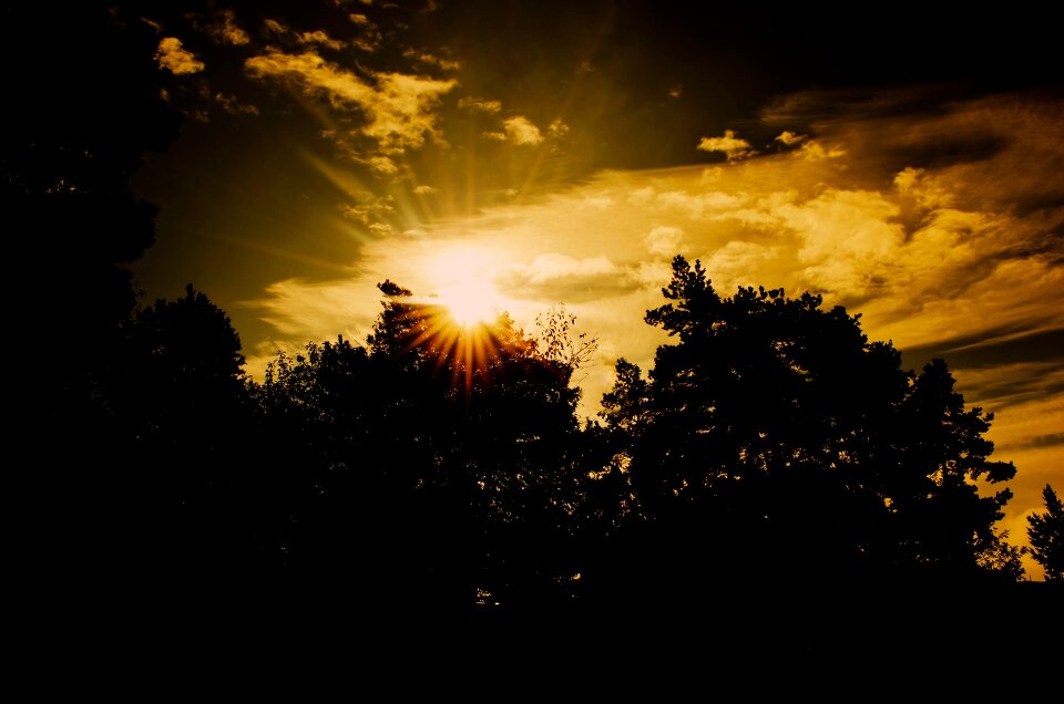 Sun nature evening