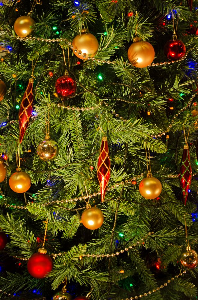 Winter decoration background