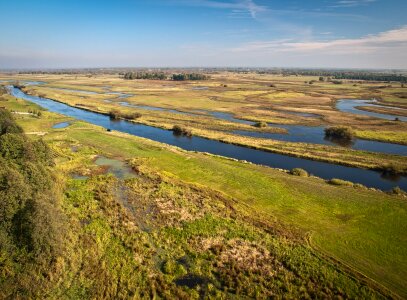Marsh estuary river