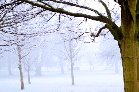 Nature macro landscape