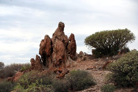 Stones bizarre bizarre shapes photo