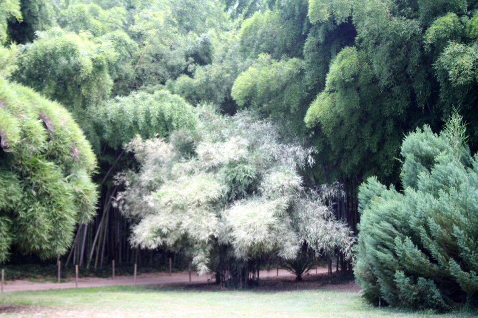 Ardèche plant botanical garden