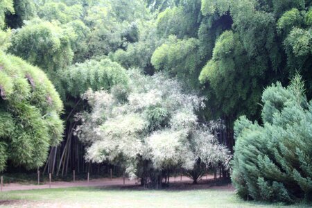 Ardèche plant botanical garden