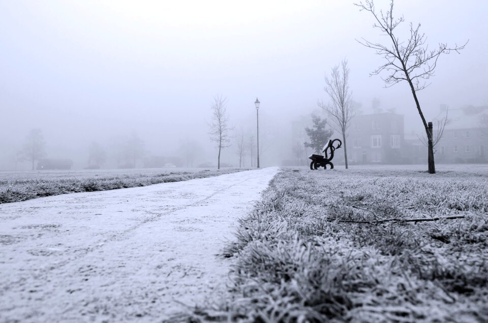 Black white england