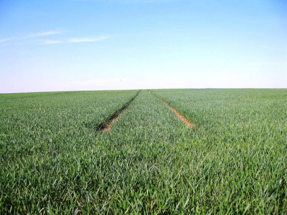 Field fields agriculture