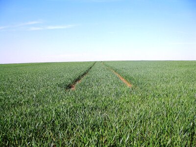 Field fields agriculture