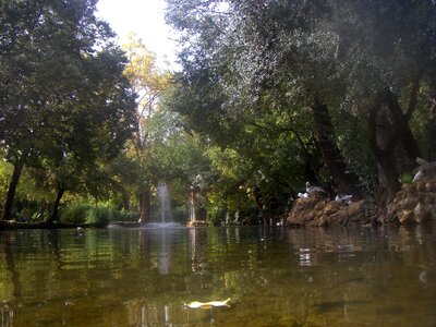 Water fountain trees photo