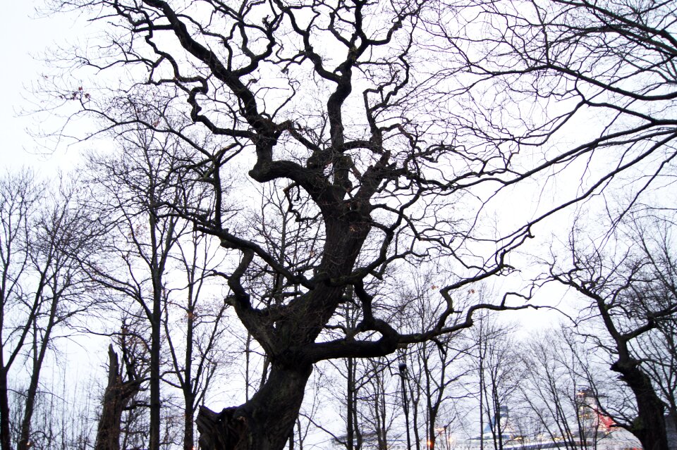 Sweden scary twisted
