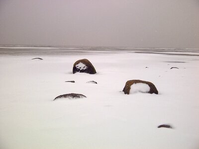 Snow ice nordfriesland