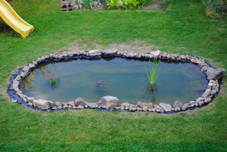 Pond garden water photo