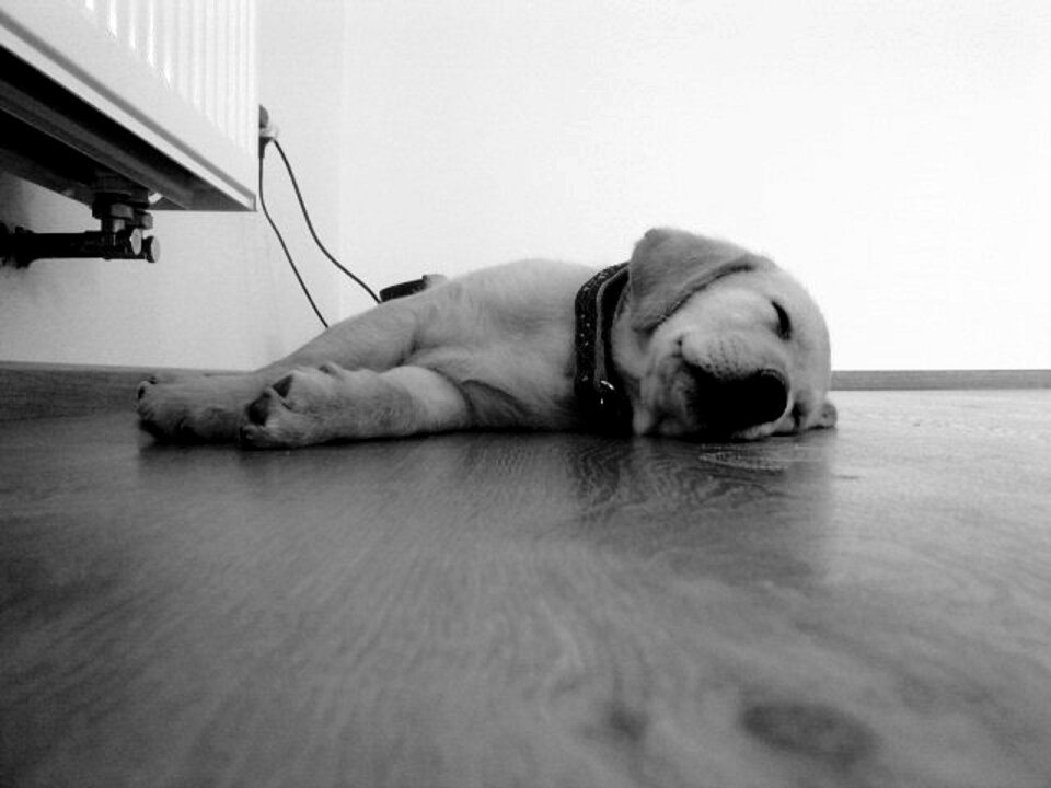 Floor drowsiness sleep