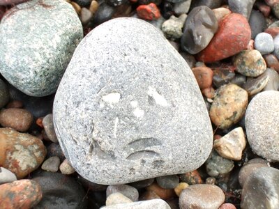 Baltic sea face natural beings