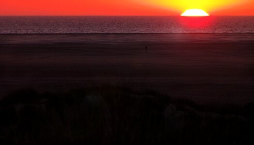 Lonely beach northsea photo