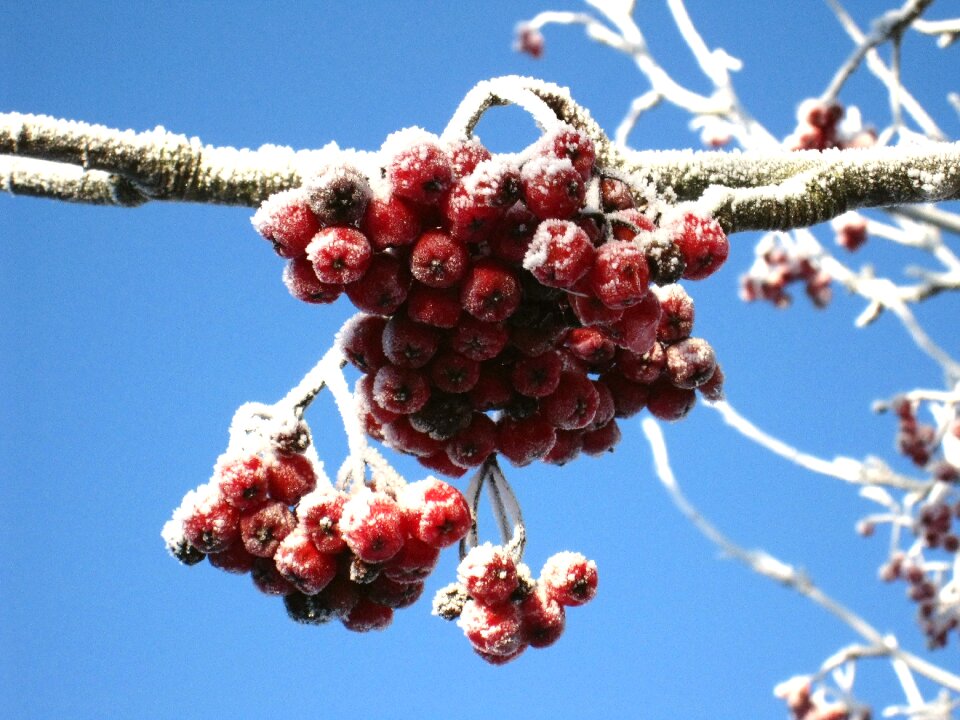 Blue sky blue frozen