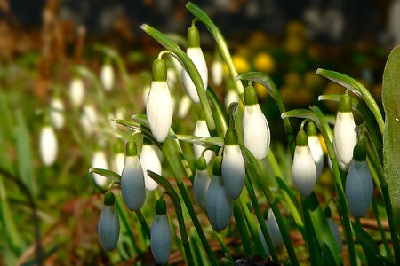 February spring signs of spring