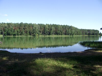 Ducks water pond photo