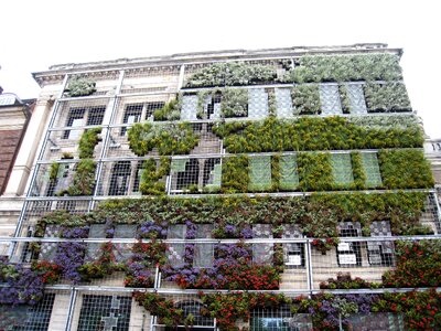 Plants cladding colors photo