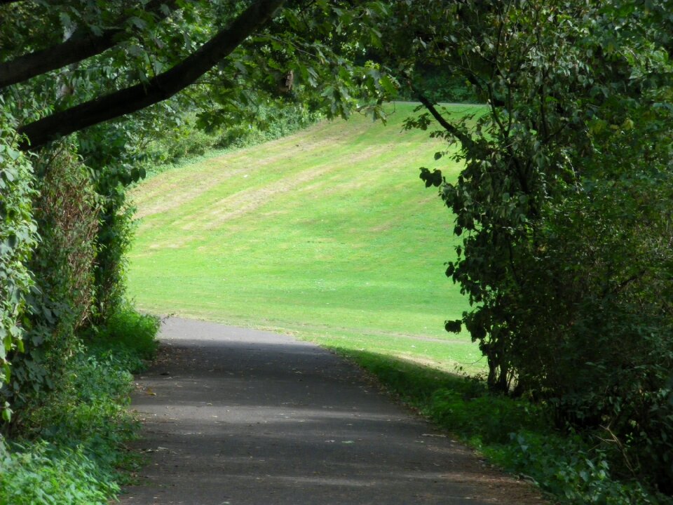 Park meadow green