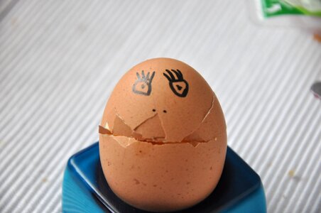 Egg face egg shells