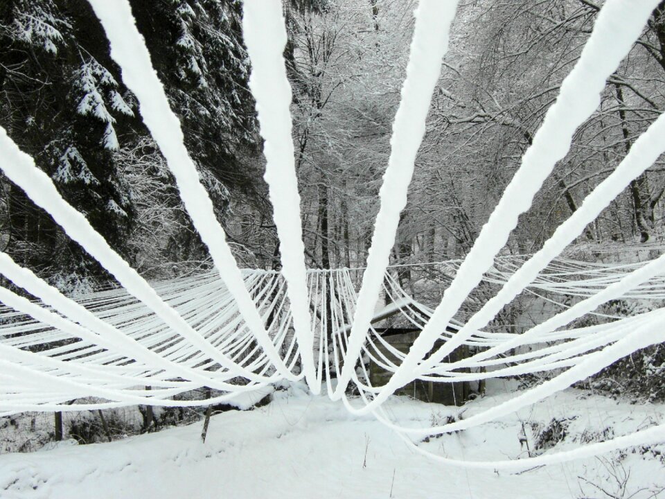 Wires iced winter