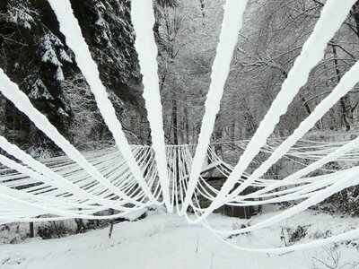 Wires iced winter
