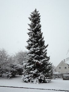 Huge snow winter photo