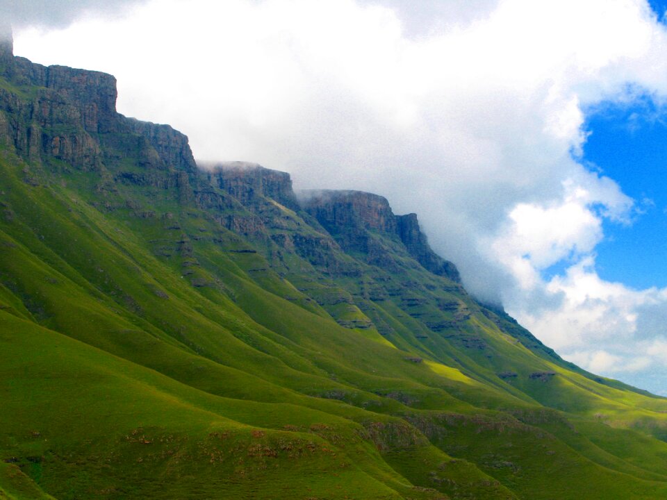 Scenic green south africa