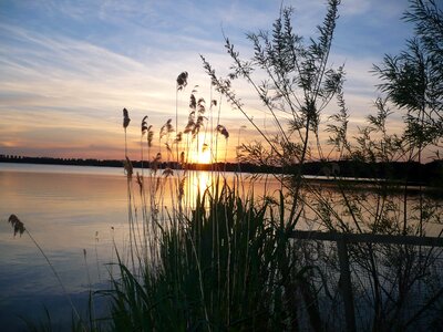 Windebyer noor abendstimmung water