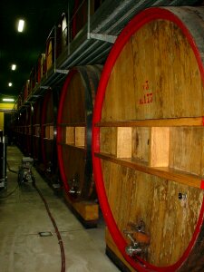 Wine cellar wine barrels tuscany photo