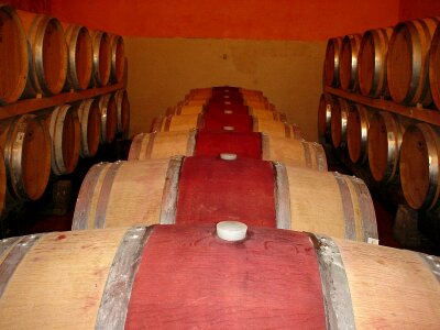 Wine barrels tuscany wine photo