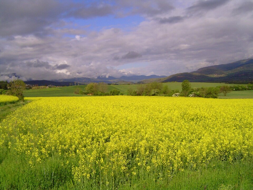 The cerdanya girona spain