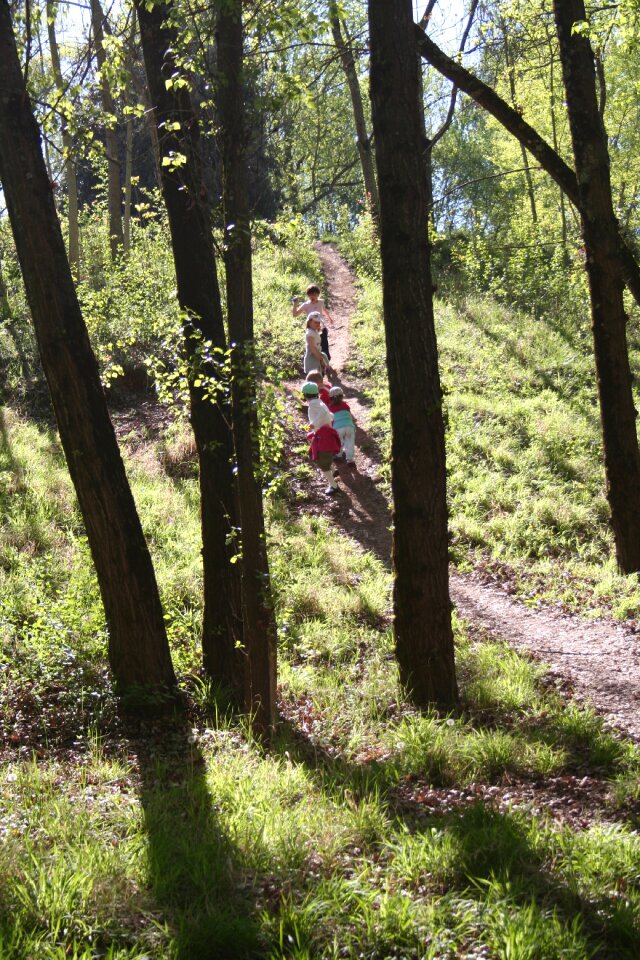 Silhouettes children trail