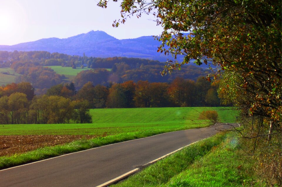 Brown fall foliage siebengebirge