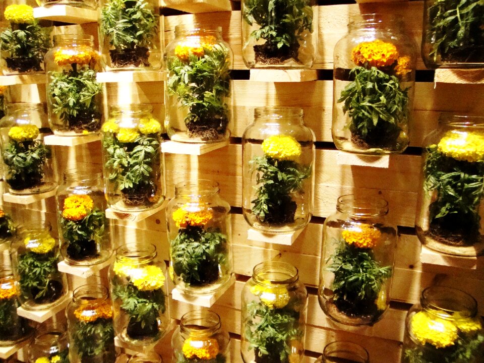 Flowers garden decoration
