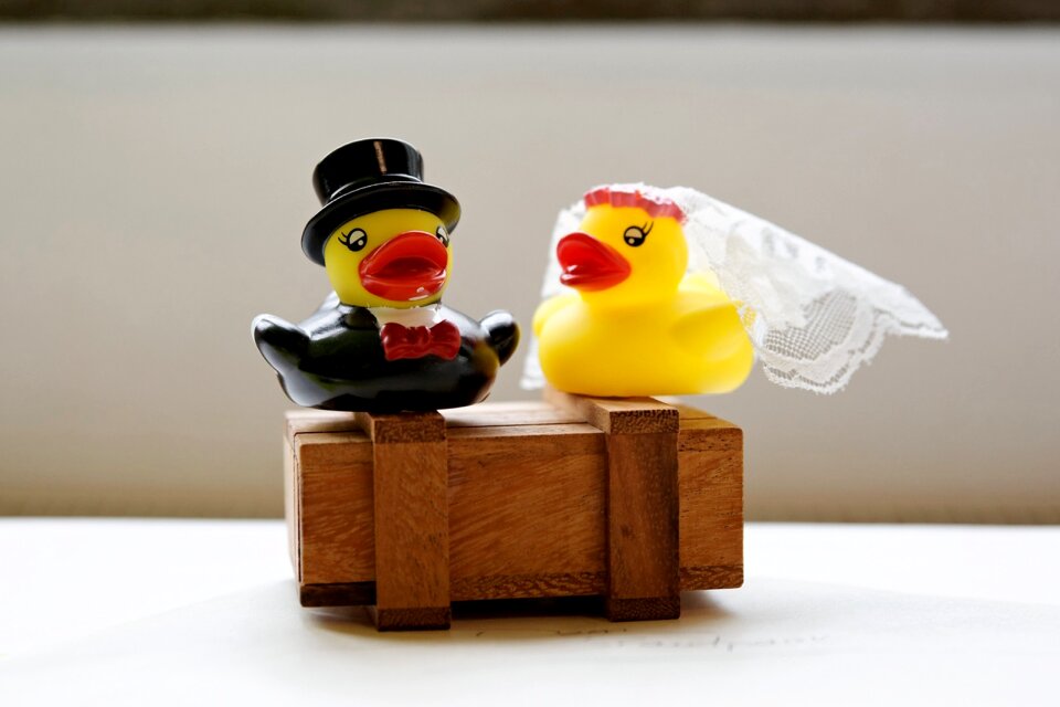 Luck eternity pair of ducks