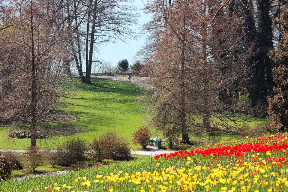 Yellow red park