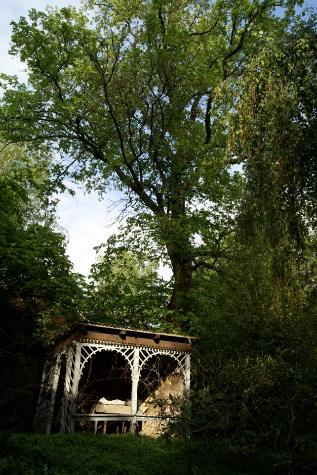 Outdoor idyll shadow