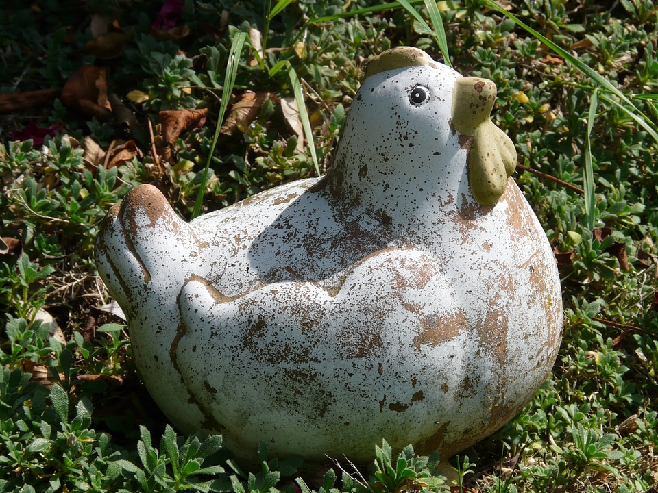 Bird ornament garden figurines