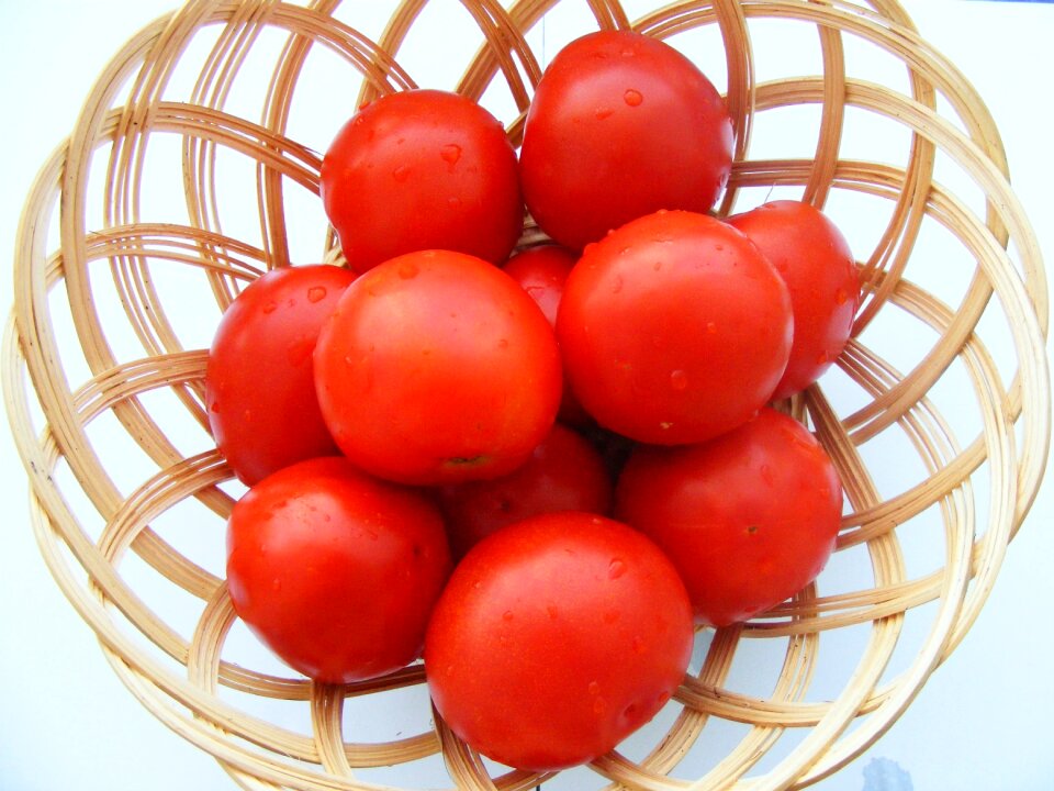 Tomatoes red tomato