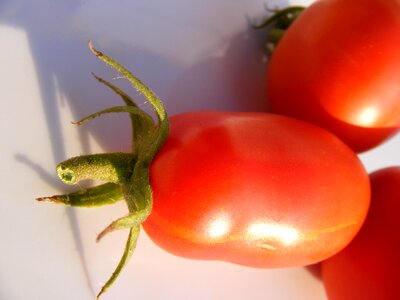 Tomatoes red tomato