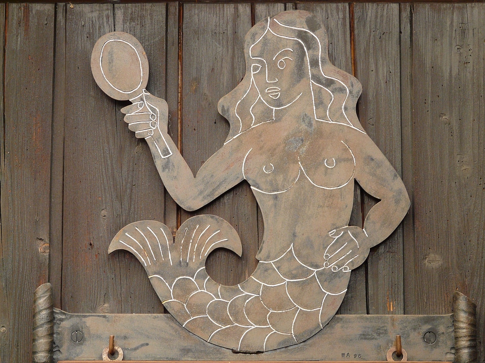 Beautiful breasts water women