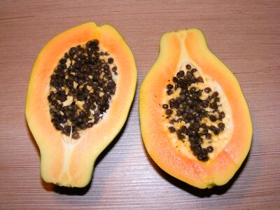 Exotic fruit papaya