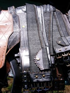 Harnesses horses leather