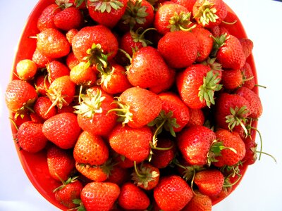 Strawberry swet red