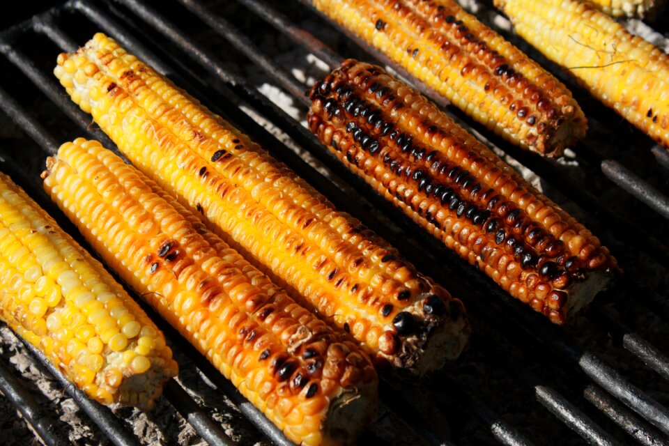 Grill grilled healthy