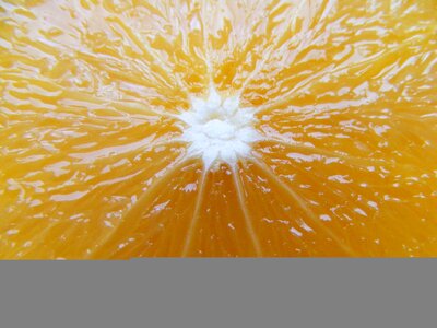 Orange ornage cut