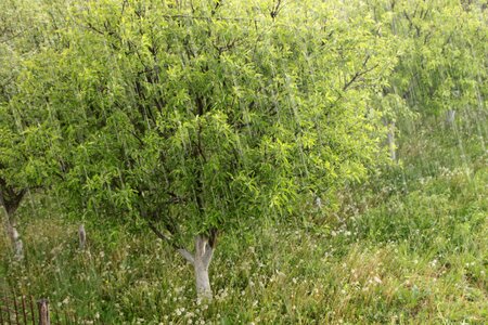 Storm water summer photo