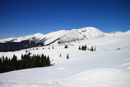 Ranca romania snow